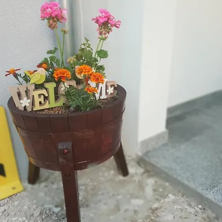 別荘 Mam